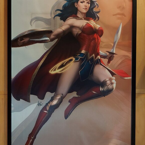 Silk canvas Fabric Poster Bundle of 4 deal (24" x 36" approx) - Picture 5 of 5